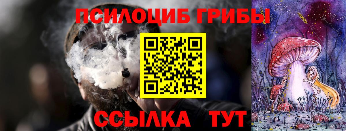 Галлюциногенные грибы Psilocybine cubensis Туймазы